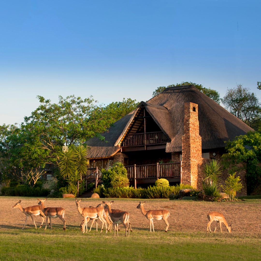 Kruger Park Lodge